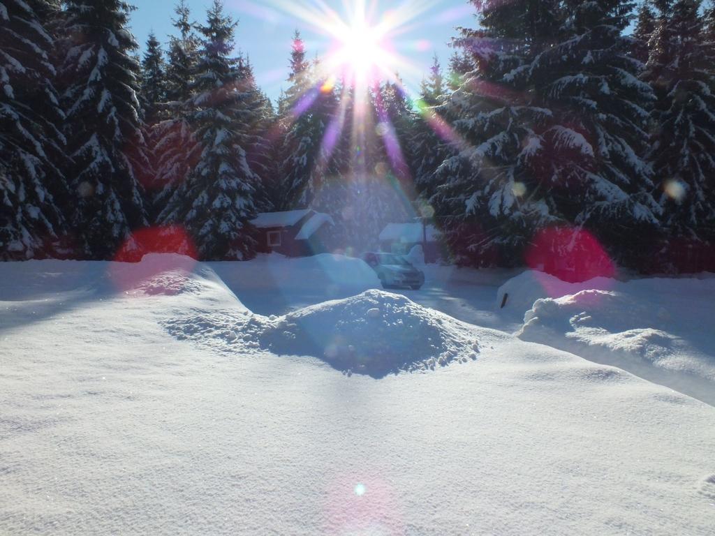Chaty Jasna เดมานอฟสกา โดลินา ภายนอก รูปภาพ